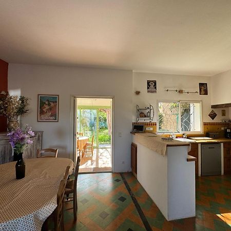 La Boissetane, Maison Provencale Avec Piscine Et Jardin, Au Pied Du Luberon Villa Saint-Martin-de-Castillon Bagian luar foto